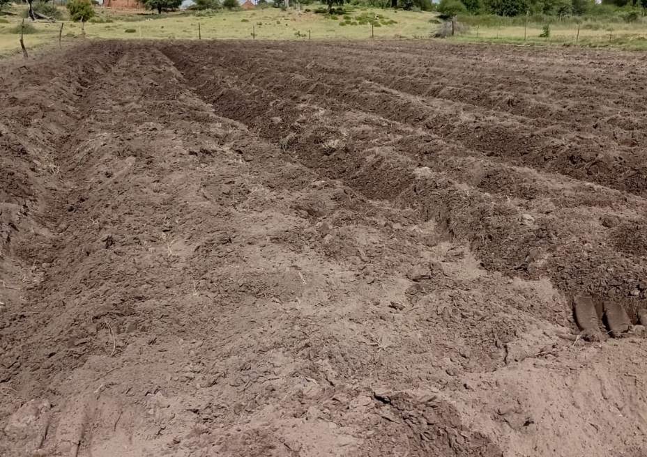 Compost Production