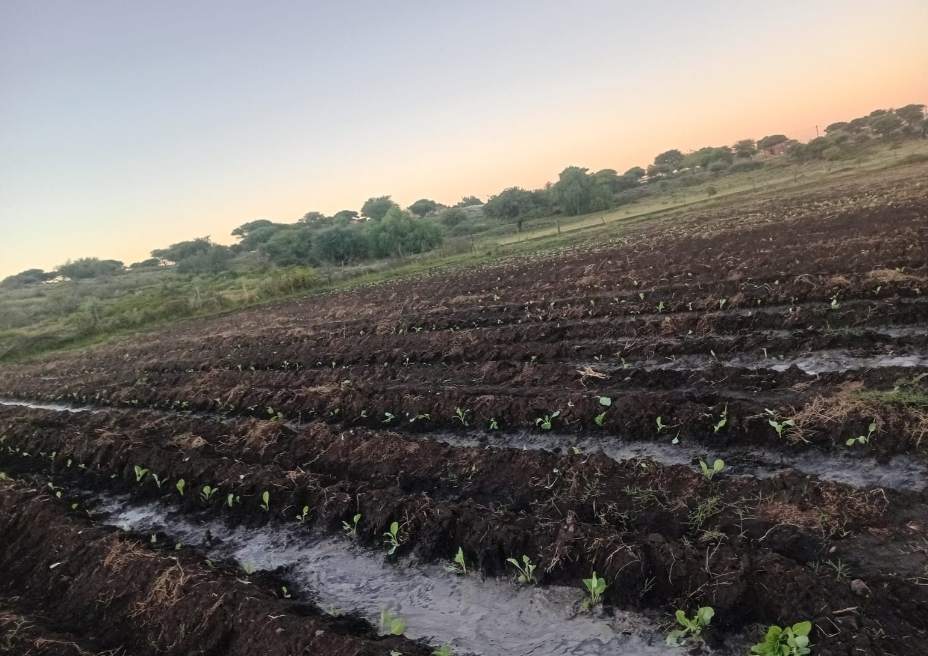 Organic Farming