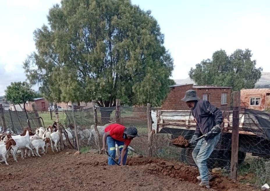 Sustainable Farming
