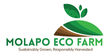Molapo Eco Farm